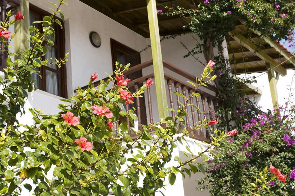 Delfi Hotel Spa & Wellness Center Bodrum 외부 사진